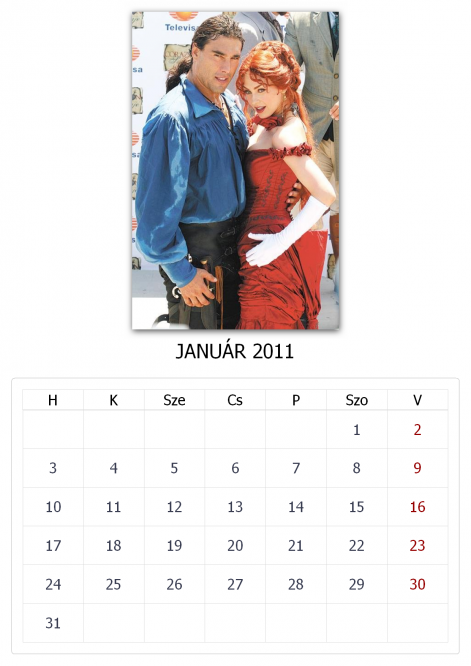 calendar201101.png