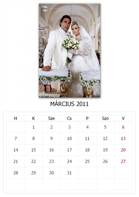 calendar201103.png